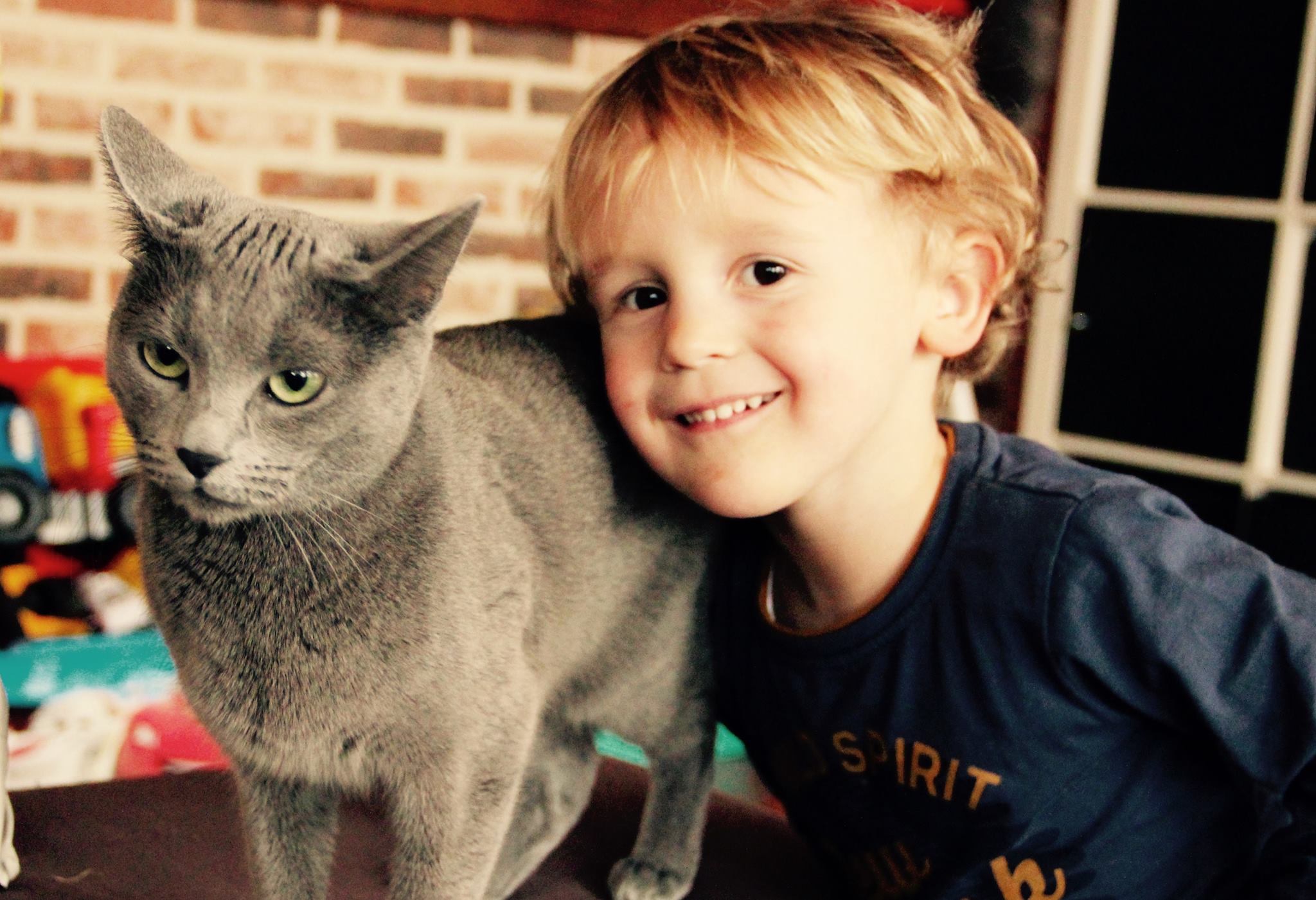 Xander & Furia